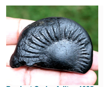 Shaligram